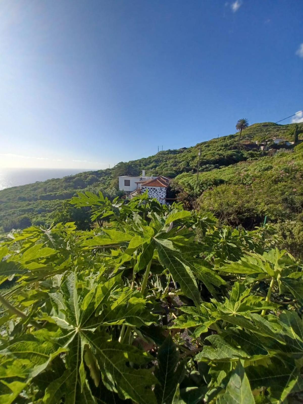 Casa Rural El Olivo De Mazo المظهر الخارجي الصورة